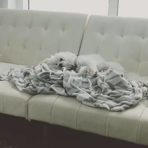 Meet your Posher, Kun