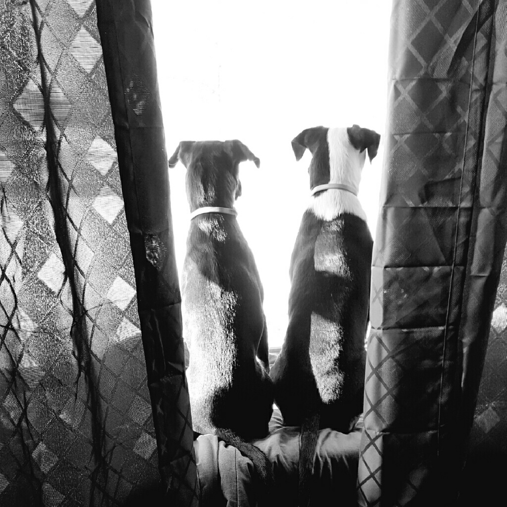 Meet your Posher, Peggy