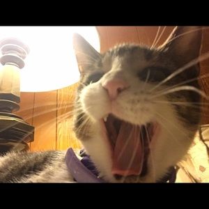 Meet your Posher, Junling