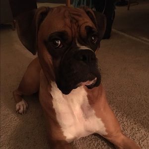 Meet your Posher, Eloise