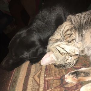 Meet your Posher, Hunter