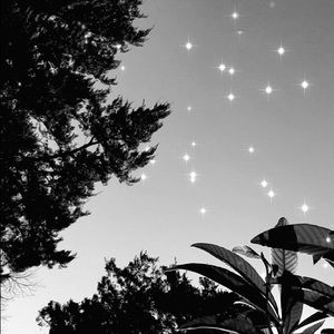 Meet your Posher, Bella