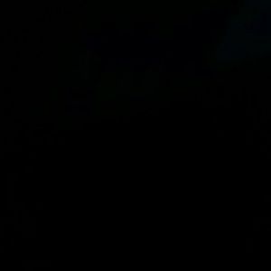 Meet your Posher, Rose