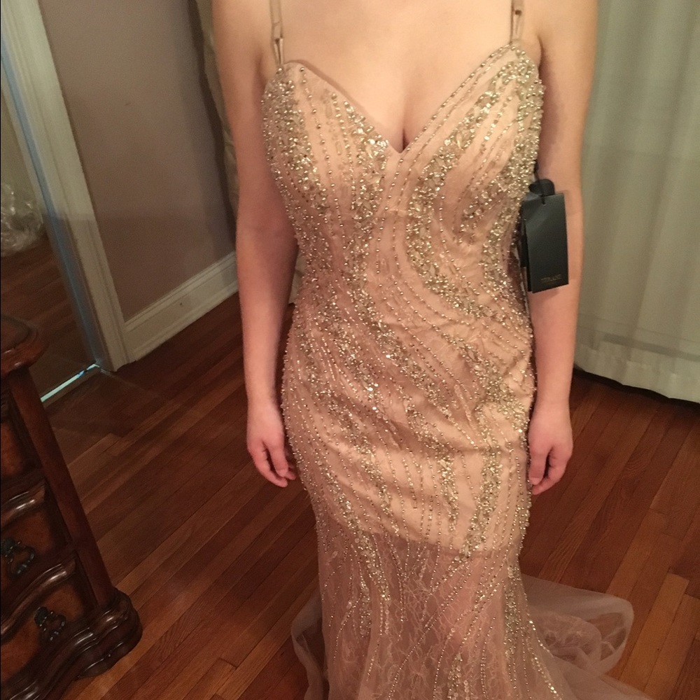 Pink Terani Couture elegan beaded gown