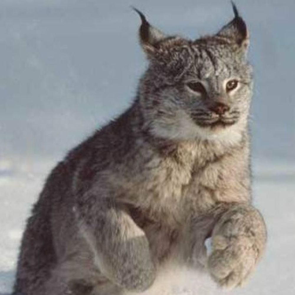 Meet your Posher, Kërry