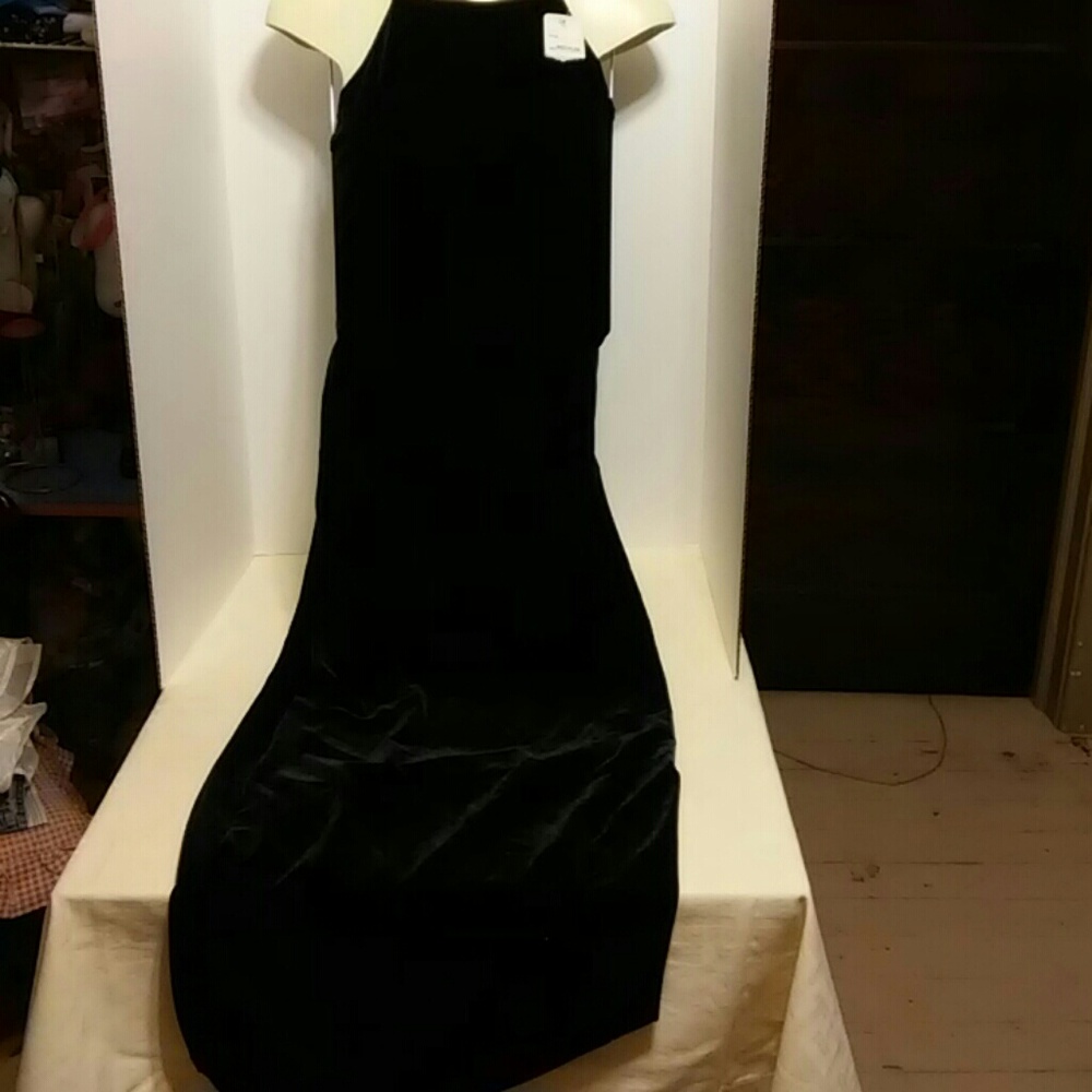 Pretty Good Velour gown