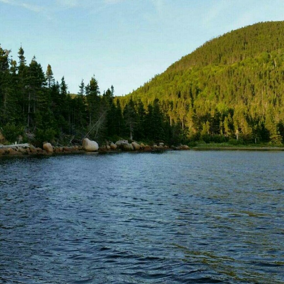 Meet your Posher, Carla - Picture 1 of 1