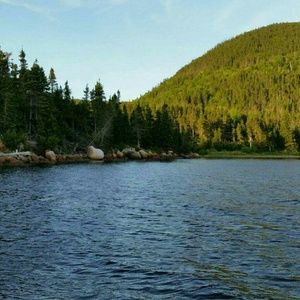 Meet your Posher, Carla