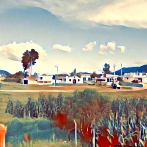 Meet your Posher, Hector