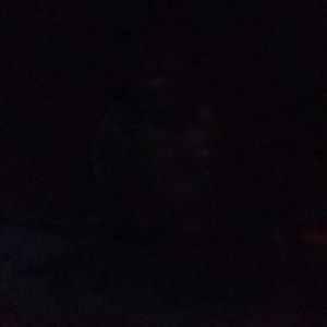 Meet your Posher, Lashonda