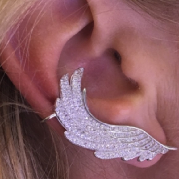 Wing Earings - Picture 1 of 3