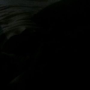 Meet your Posher, Connie