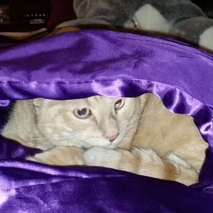 Meet your Posher, Robert