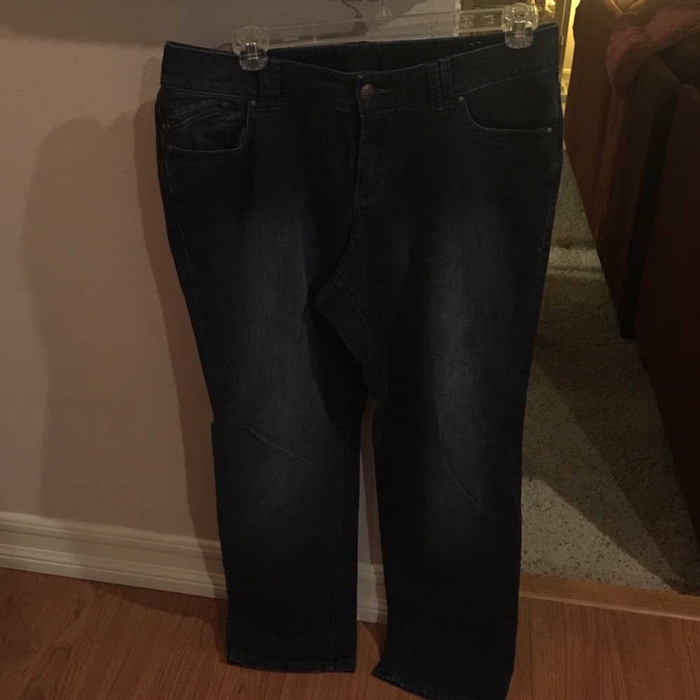 Lane Bryant Size 16P Genius Fit Jeans