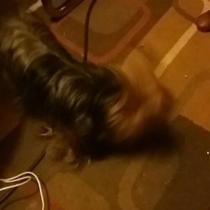 Meet your Posher, Lynn