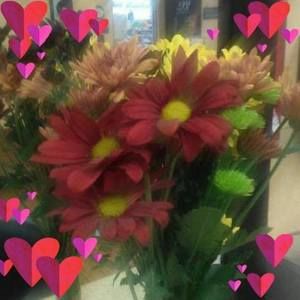 Meet your Posher, Audra