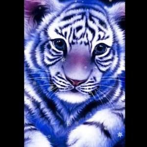 Meet your Posher, Lynn