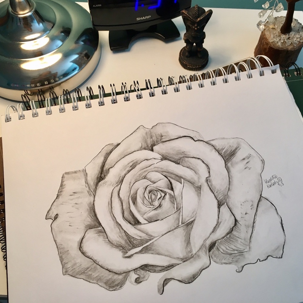 Rose Illustration (print)