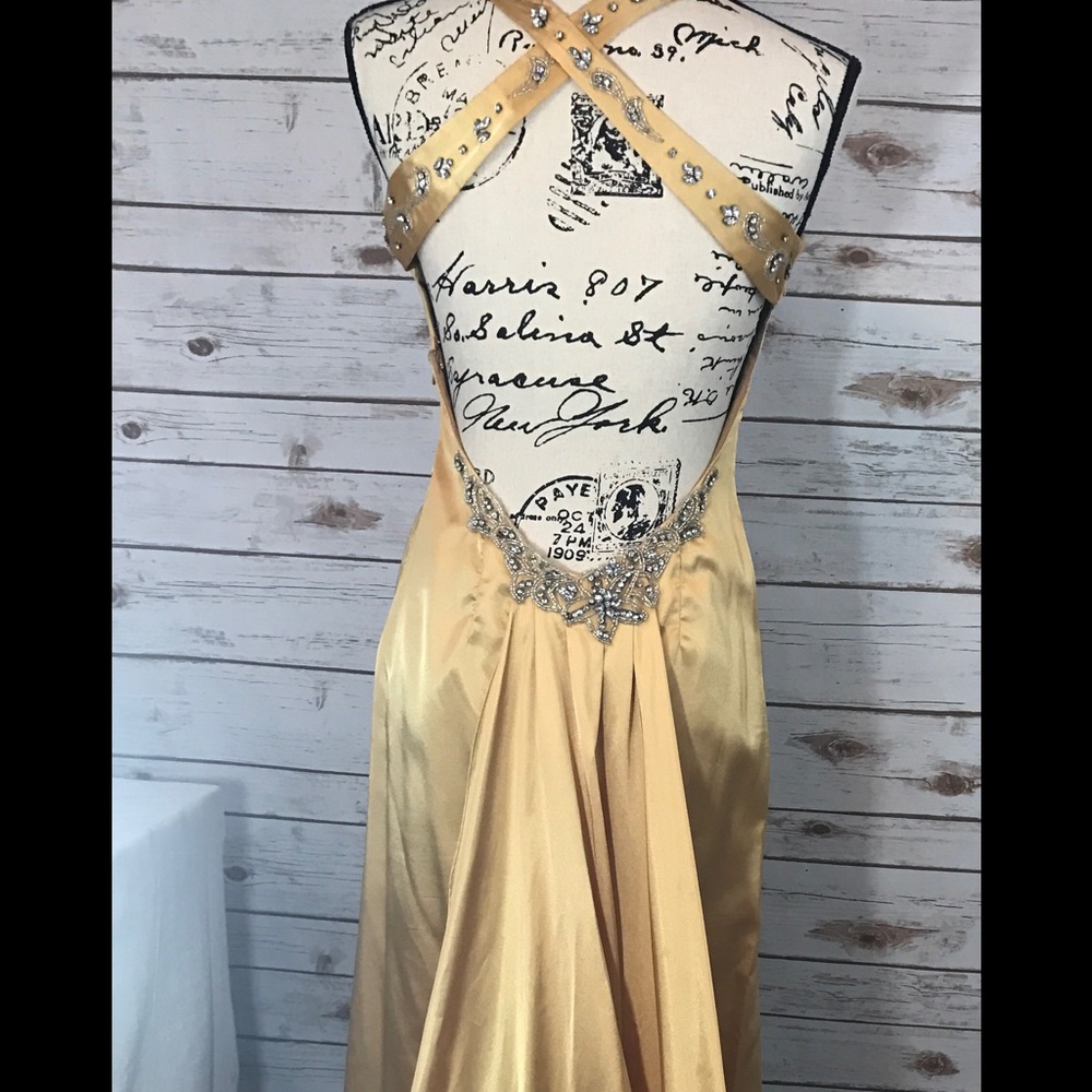 Elegant fashion gown