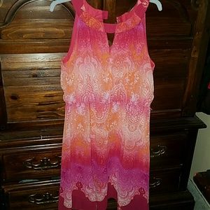 Beautiful dress rabbit, rabbit, rabbit dress