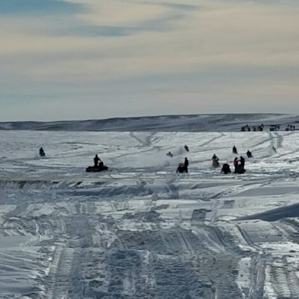 Meet your Posher, Trista