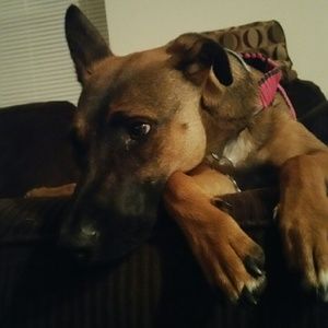 Meet your Posher, Pablo