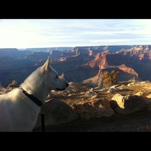 Meet your Posher, Chanhthi