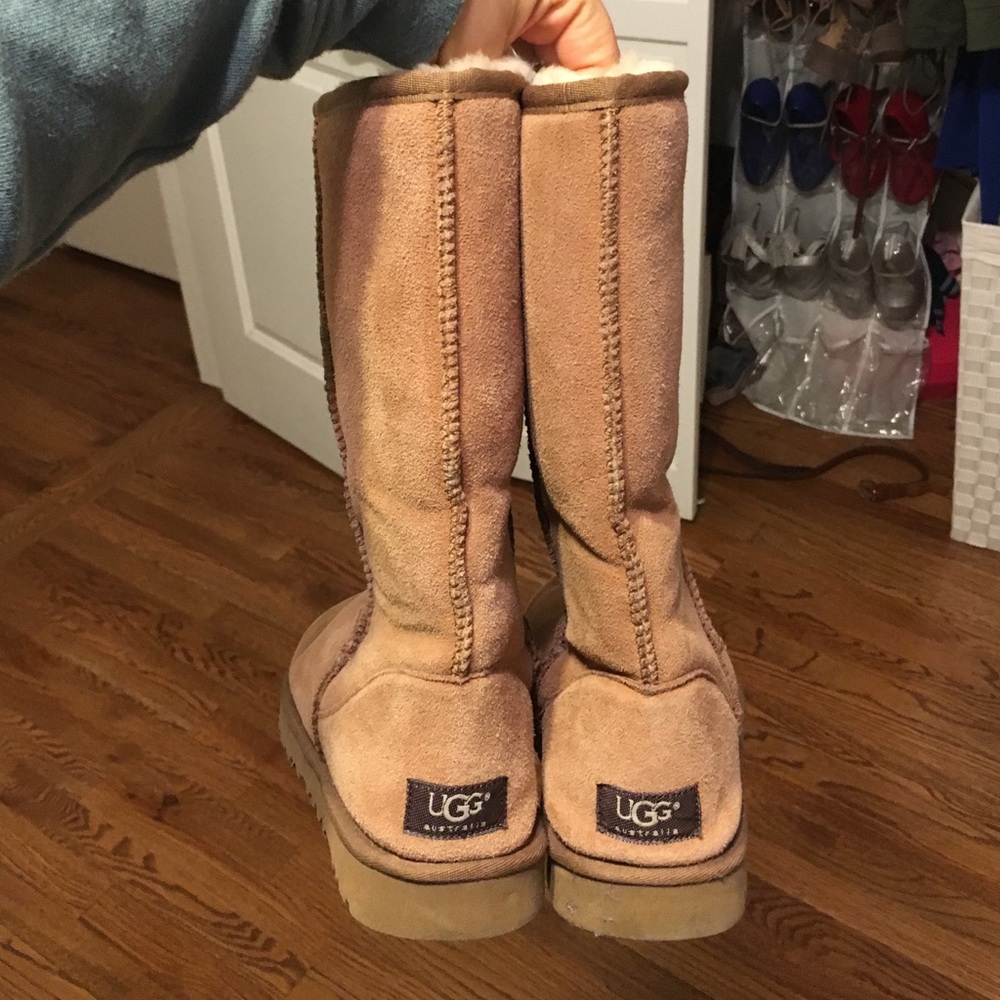 Talk chestnut uggs