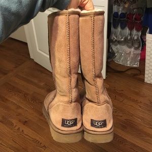 Talk chestnut uggs