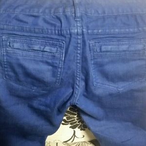 Free people cobalt blue jean