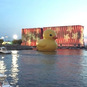 Meet your Posher, Donald