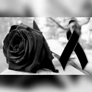 Meet your Posher, Yesenia