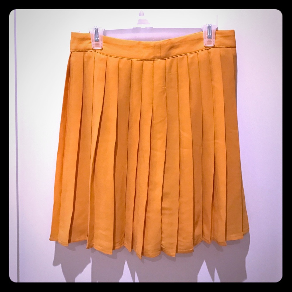 Pleated Chiffon Skirt