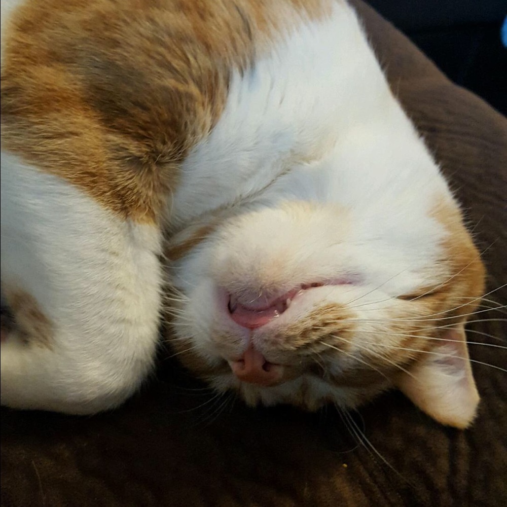 MAKE OFFERS!! EVERYTHING MUST GO!