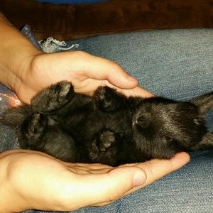 Bundles and Offers Welcome!