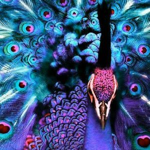 Meet your Posher, Aimee