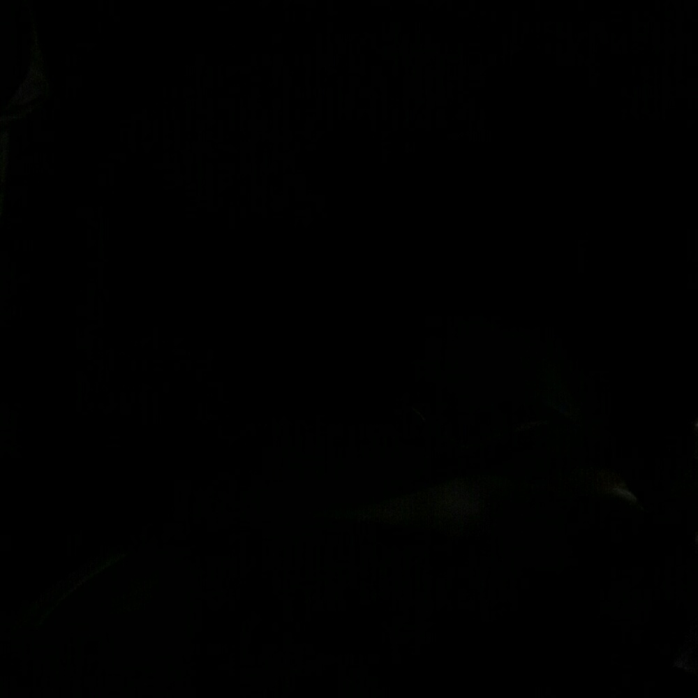 Meet your Posher, Dee