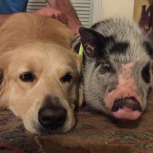 Meet your Posher, Chelsea