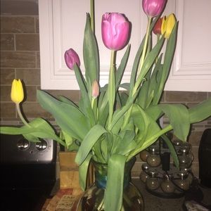 Meet your Posher, Stacy