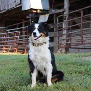 Meet your Posher, Micah