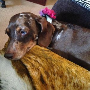 Meet your Posher, Angie