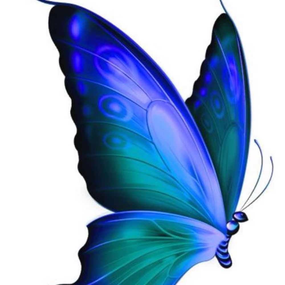 Meet your Posher, Rita