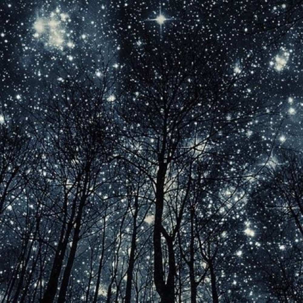 Meet your Posher, Adriana