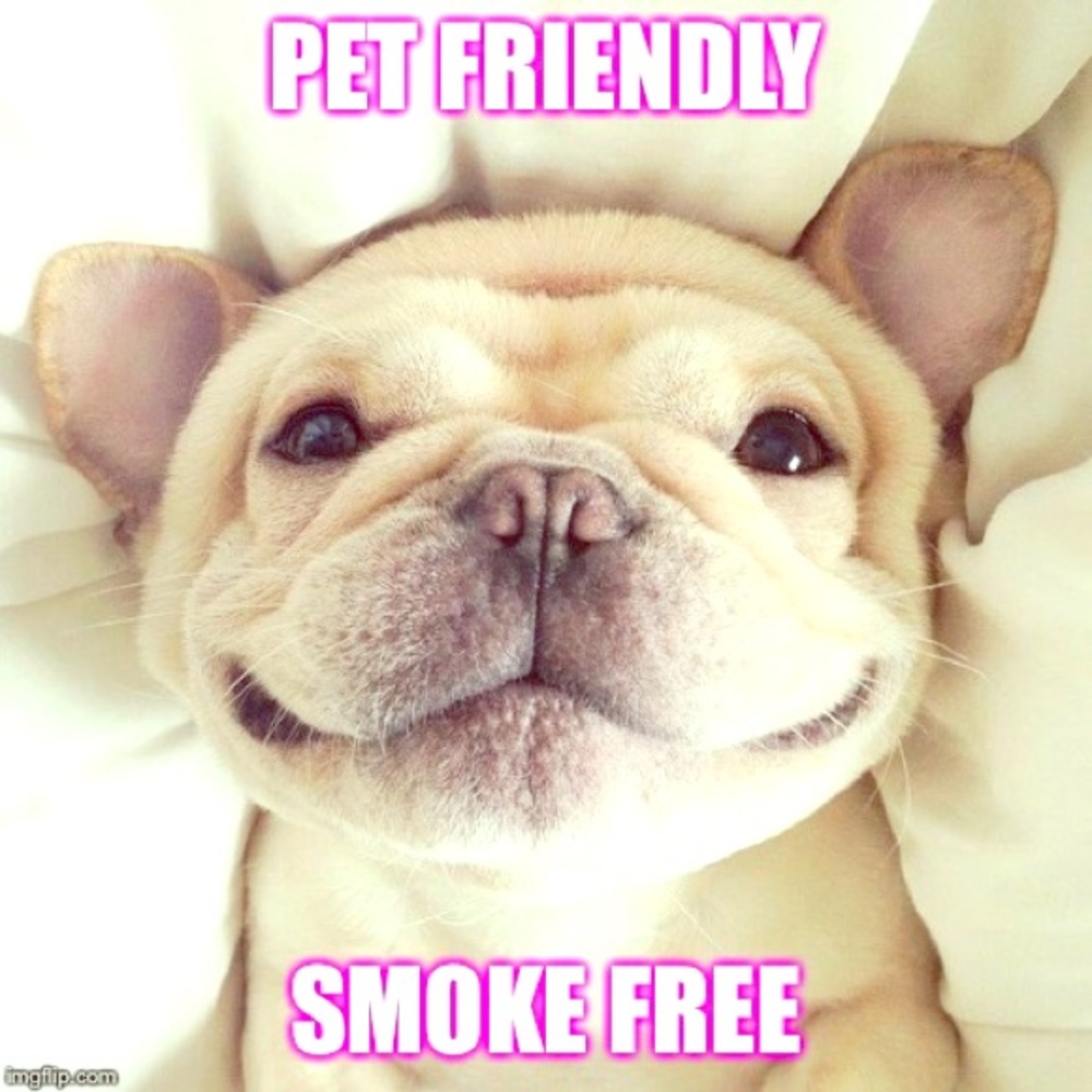 Pet friendly, smoke free home! 💜