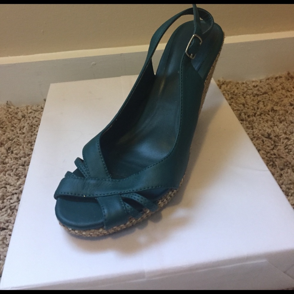 Teal wedges