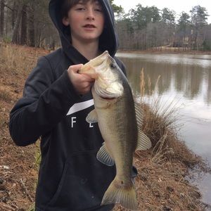 Meet your Posher, Davis