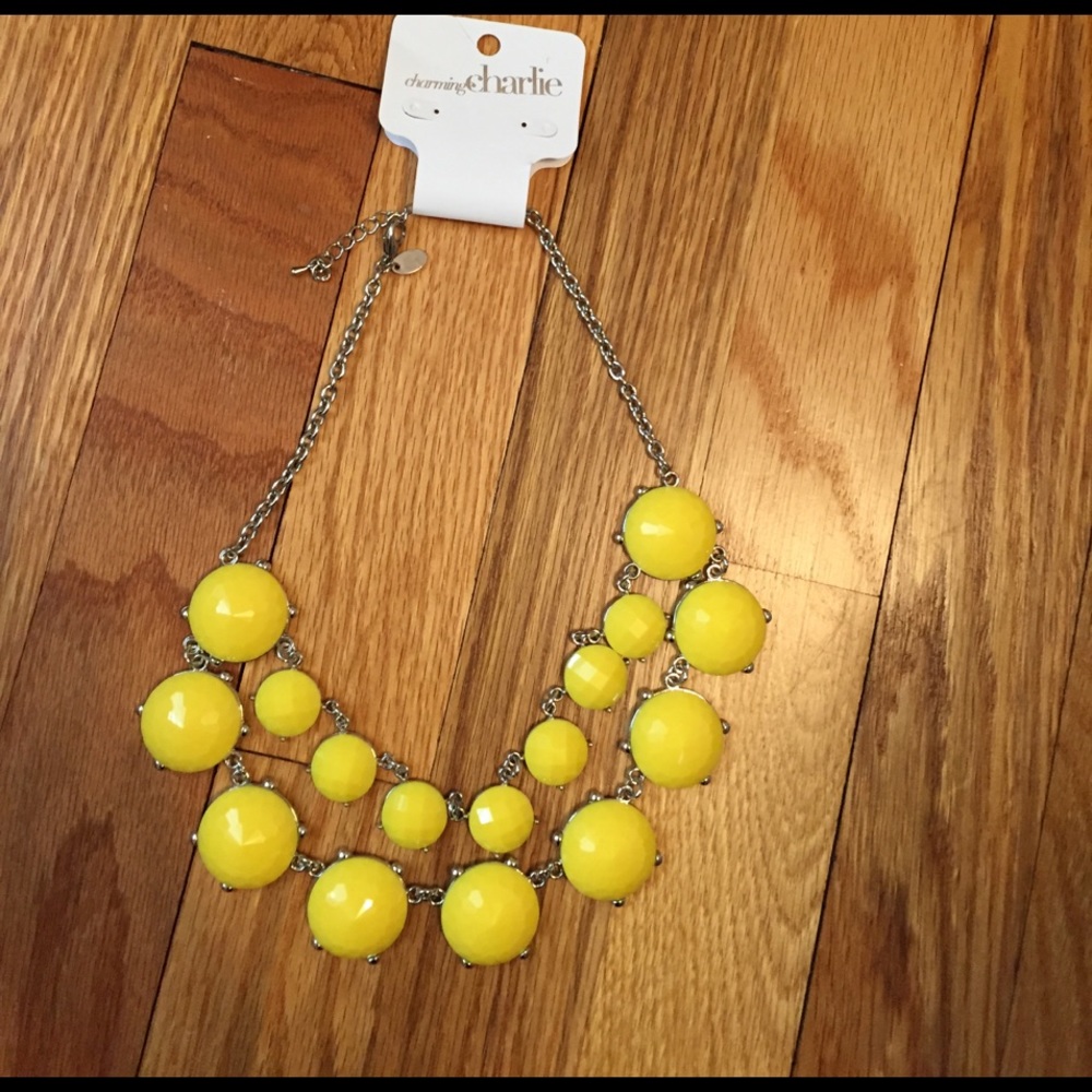 Charming Charlie Necklace