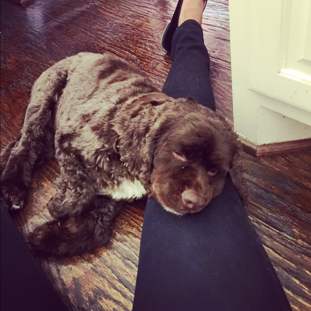 Meet your Posher, Ceceilia