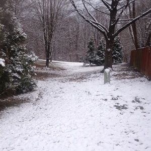 Meet your Posher, Dina