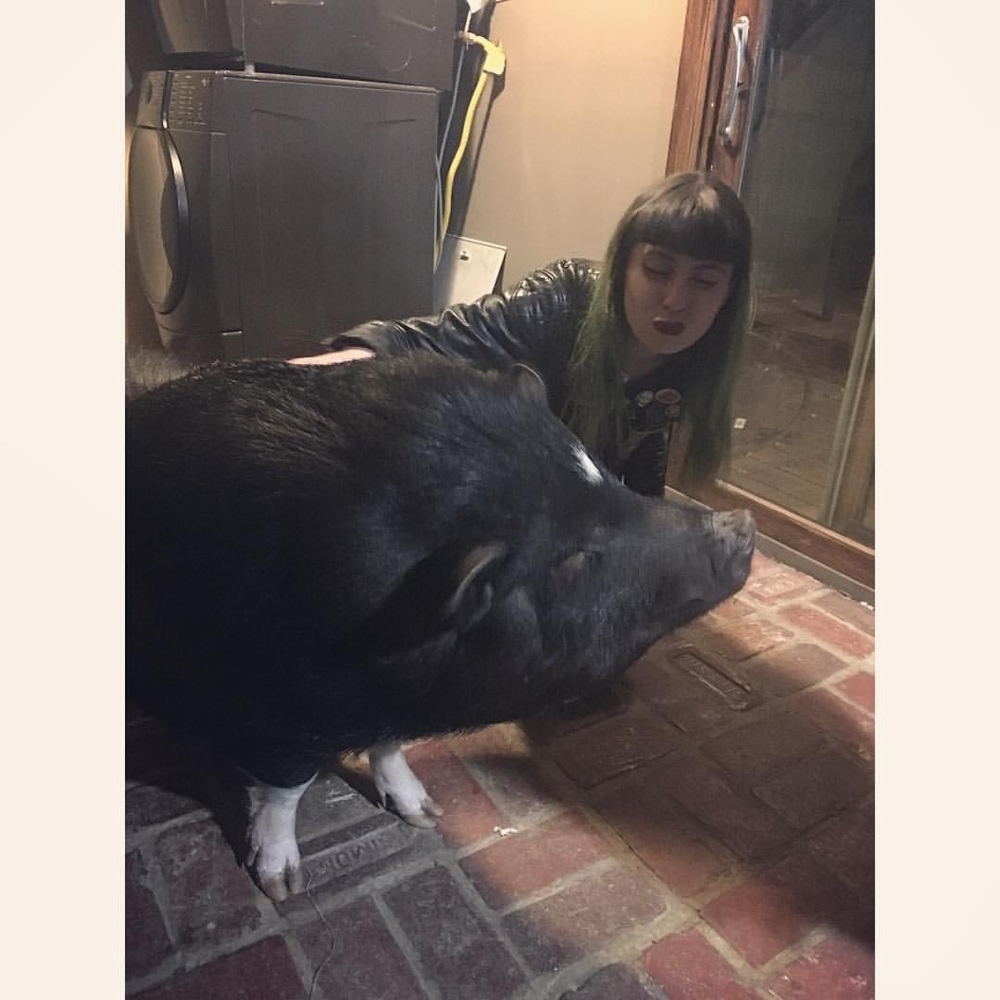 Meet your Posher, Sammy